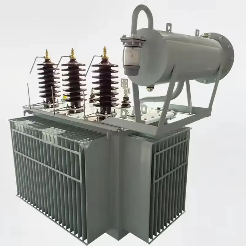 Est&aacute;ndar inmerso en aceite trif&aacute;sico del IEC 60076 del transformador de poder 10MVA 22kV/0.4kV